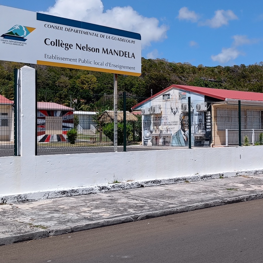 college Nelson Mandela